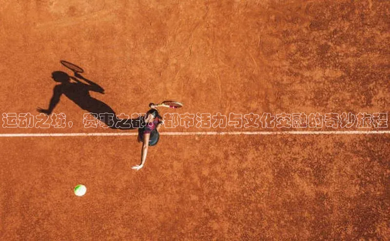 qy球友会网站登录入口